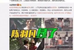 沾化出轨爆料案件最新,真相揭露，法律制裁并行