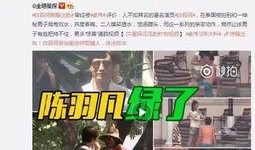 沾化出轨爆料案件最新,真相揭露，法律制裁并行