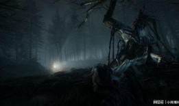 恐怖游戏最新爆料,恐怖游戏最新爆料揭秘惊悚剧情与神秘角色