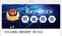 河北美院爆料视频最新版,揭秘校园内幕与真相