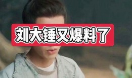 刘大锤最新爆料大s,真相究竟如何？