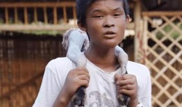 大小阳哥最新爆料,娱乐圈风云再起，真相令人震惊！