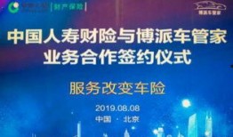中国人寿财险最新爆料,揭秘保险行业内幕与变革动向