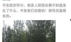 河北美院爆料视频最新版,揭秘校园内幕与真相