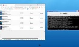 拼多多爆料最新视频下载,揭秘平台新动态与优惠福利