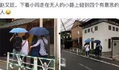 合肥吃瓜最新事件爆料新闻,揭秘背后真相与网络热议