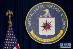 cia最新爆料网址是多少,揭秘神秘网址背后的秘密