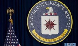 cia最新爆料网址是多少,揭秘神秘网址背后的秘密