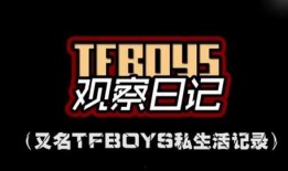 过年爆料视频大全最新版,精彩瞬间回顾