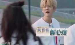 鹿晗最新消息爆料事件,揭秘娱乐圈背后惊人真相