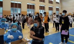 新宇星城爆料最新消息新闻,揭秘神秘项目进展与影响