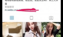 信宜小艺爆料事件最新,揭秘背后真相与网络舆论风暴