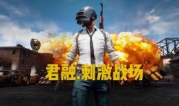 吃鸡最新爆料九月十日,揭秘游戏全新内容与玩法升级