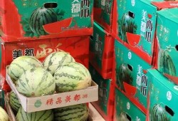 合肥吃瓜最新事件爆料新闻,揭秘背后真相与网络热议