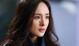 明星爆料话题大全最新,明星爆料话题大全盘点