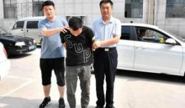 拒捕爆料抢劫案例最新,最新抢劫案背后的惊心动魄瞬间