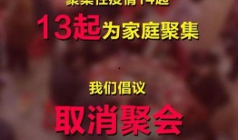 过年爆料视频大全最新版,精彩瞬间回顾