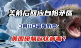 美国新病毒爆料最新消息,最新爆料揭示病毒特征与应对措施