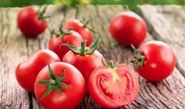 中国西红柿爆料最新消息,价格波动与种植趋势揭秘