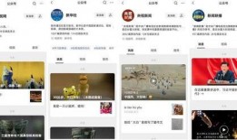 过年爆料视频大全最新版,精彩瞬间回顾