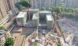 沙坪坝最新爆料,揭秘神秘项目背后的故事